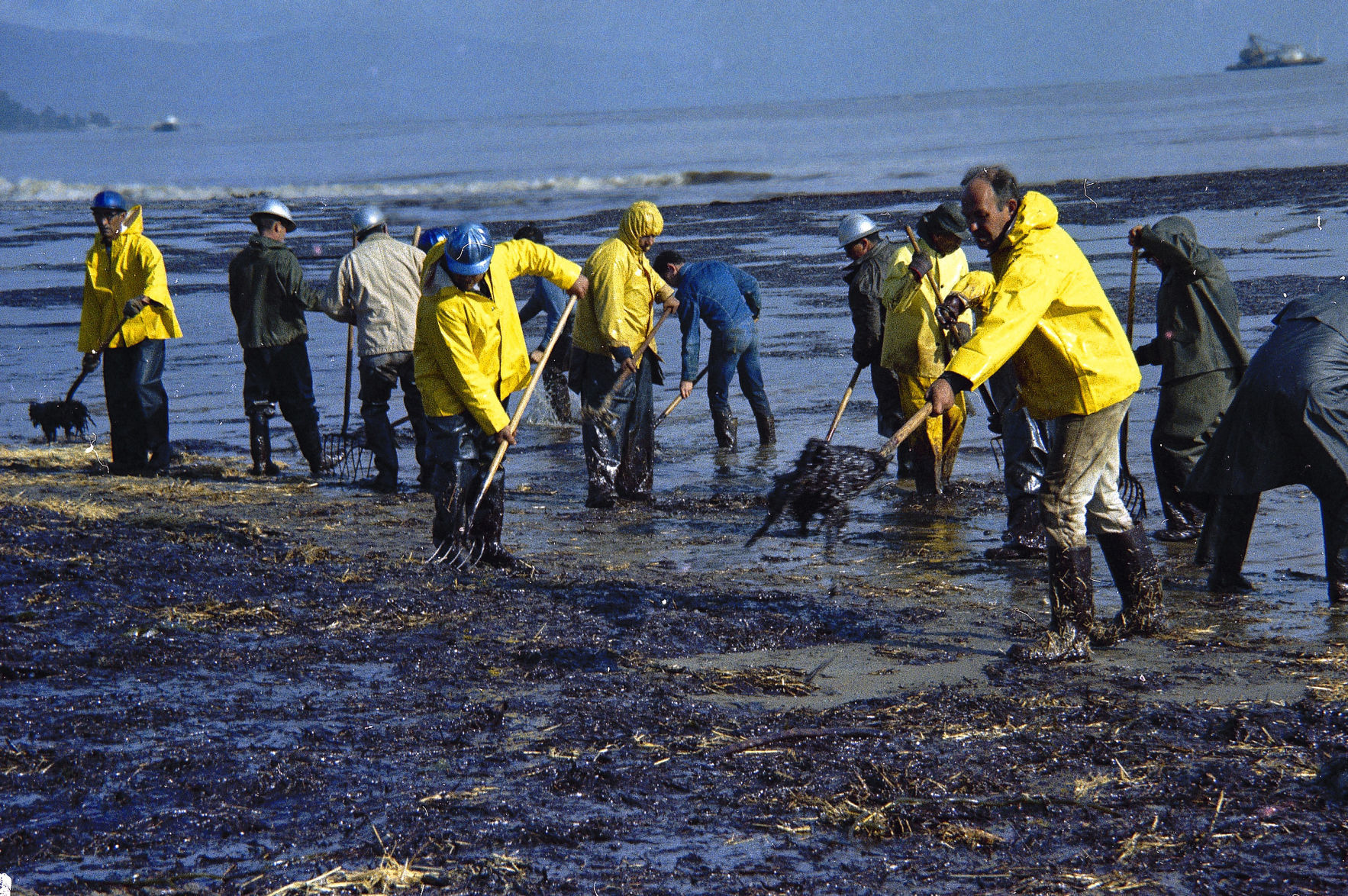 Santa Barbara Oil Spill 1969
